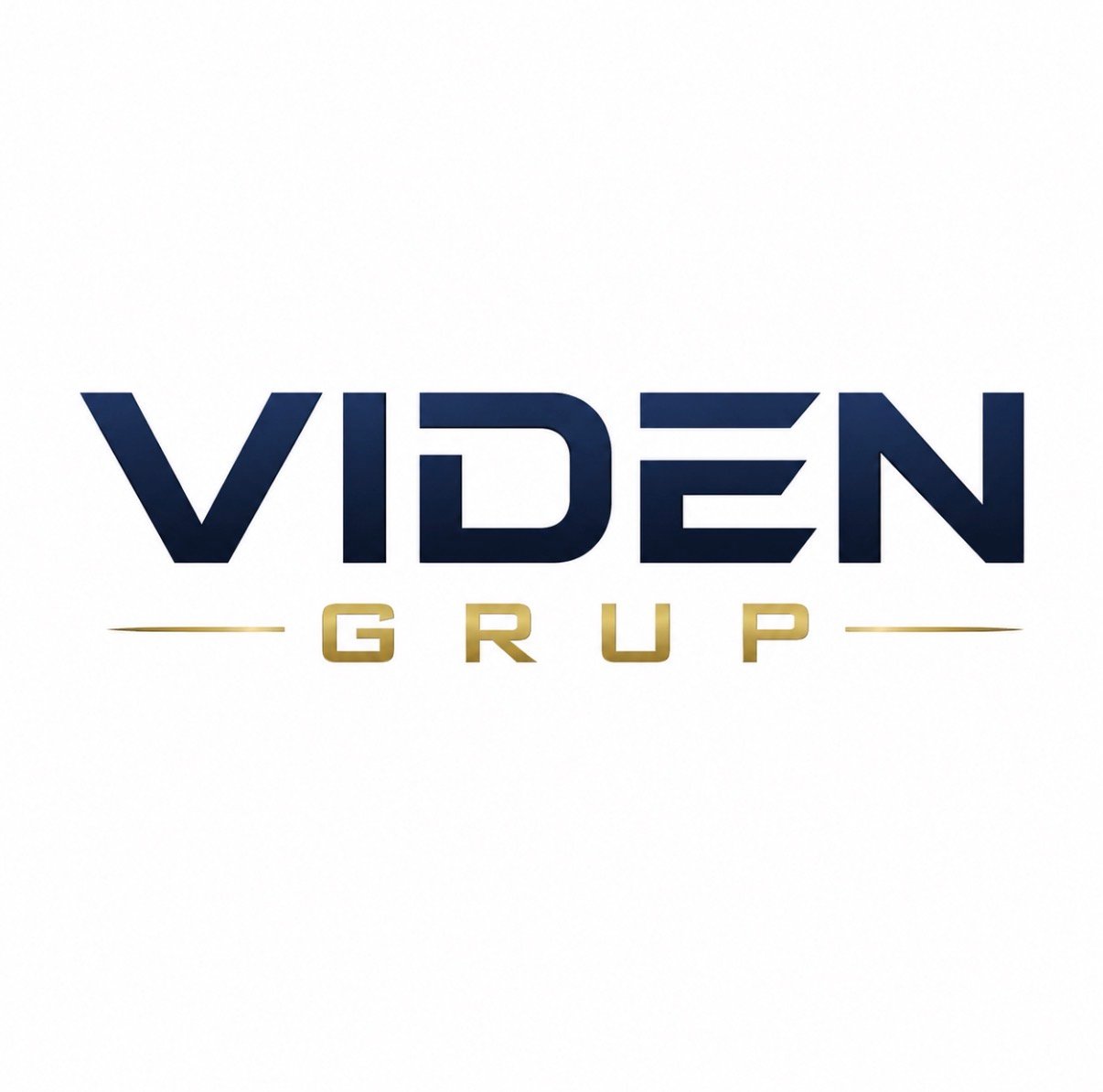 Viden Grup logo